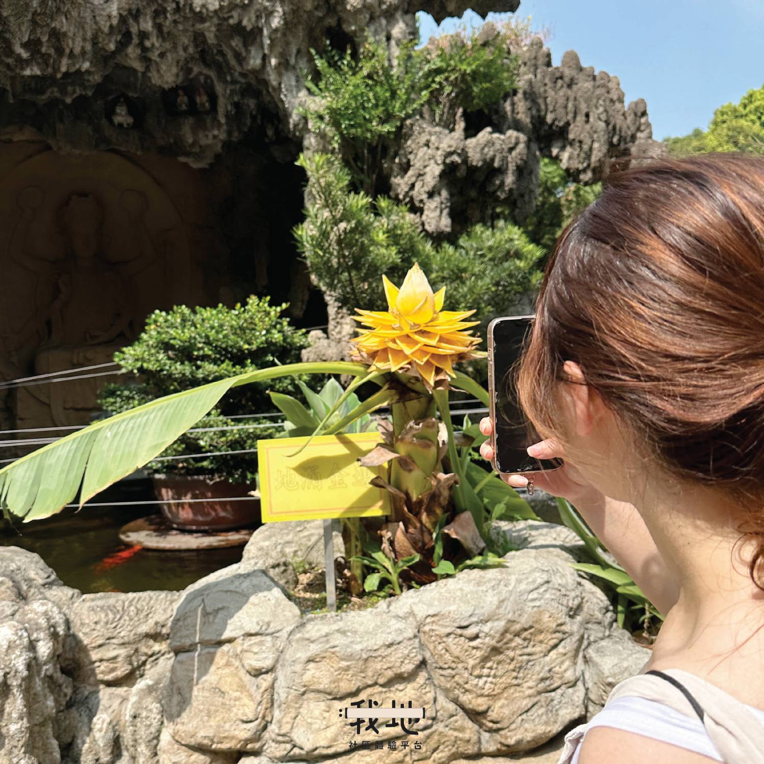[Private Group Bookings Available]【Ancient Ink 🌾】"Light Rail Journey" from Lam Tei to Yuen Long