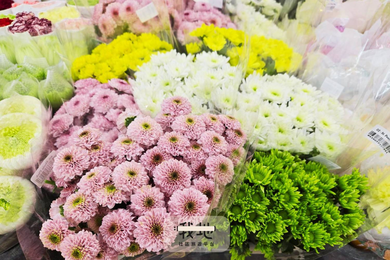 感活花墟系列 - 花墟花遊記