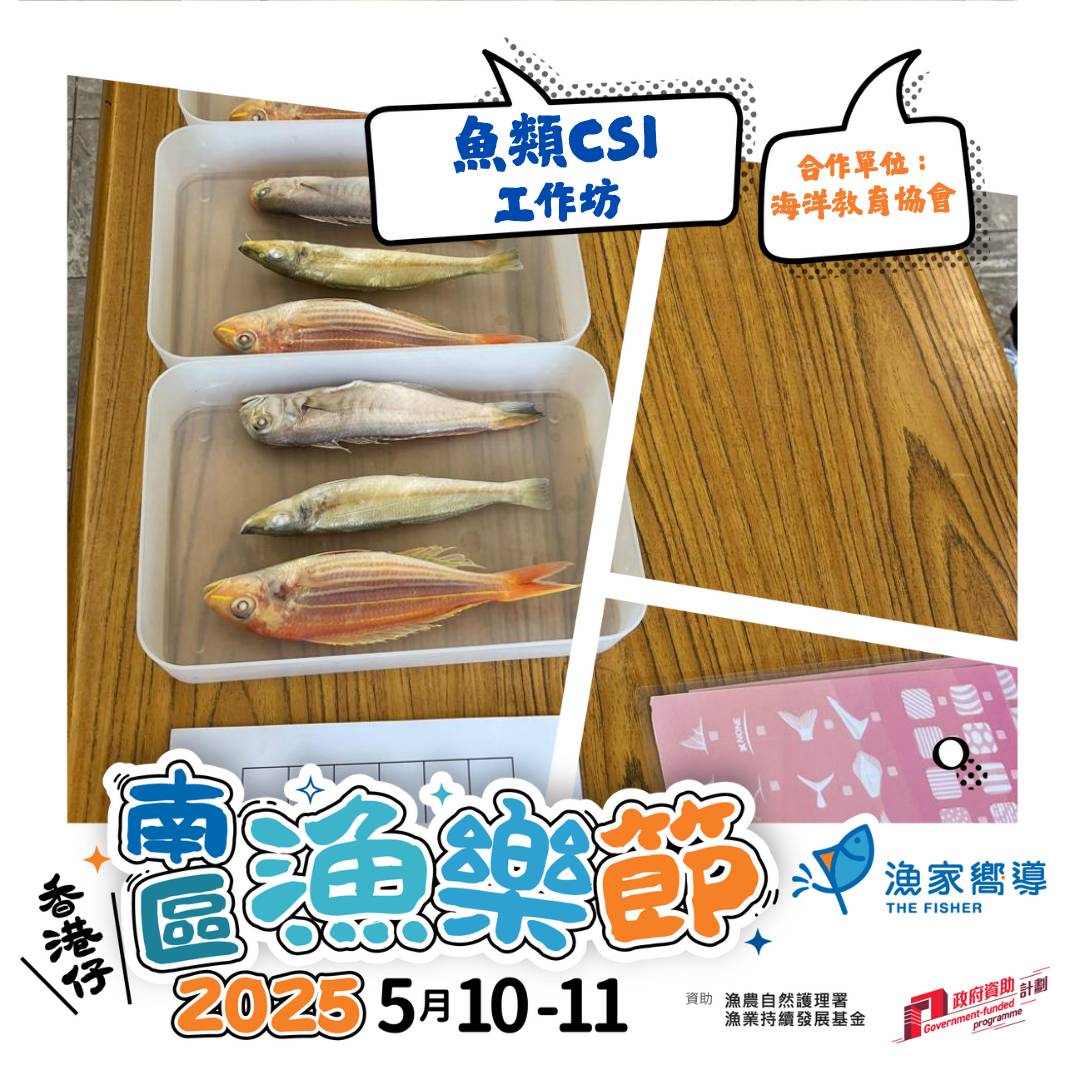 已滿額【南區漁樂節2025】魚類CSI工作坊 (免費工作坊)