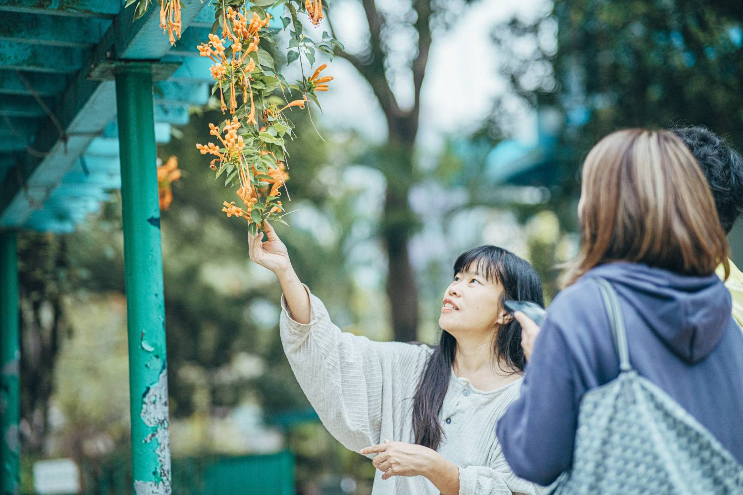 《在長》 x  葉曉文 探望長沙灣花草樹木