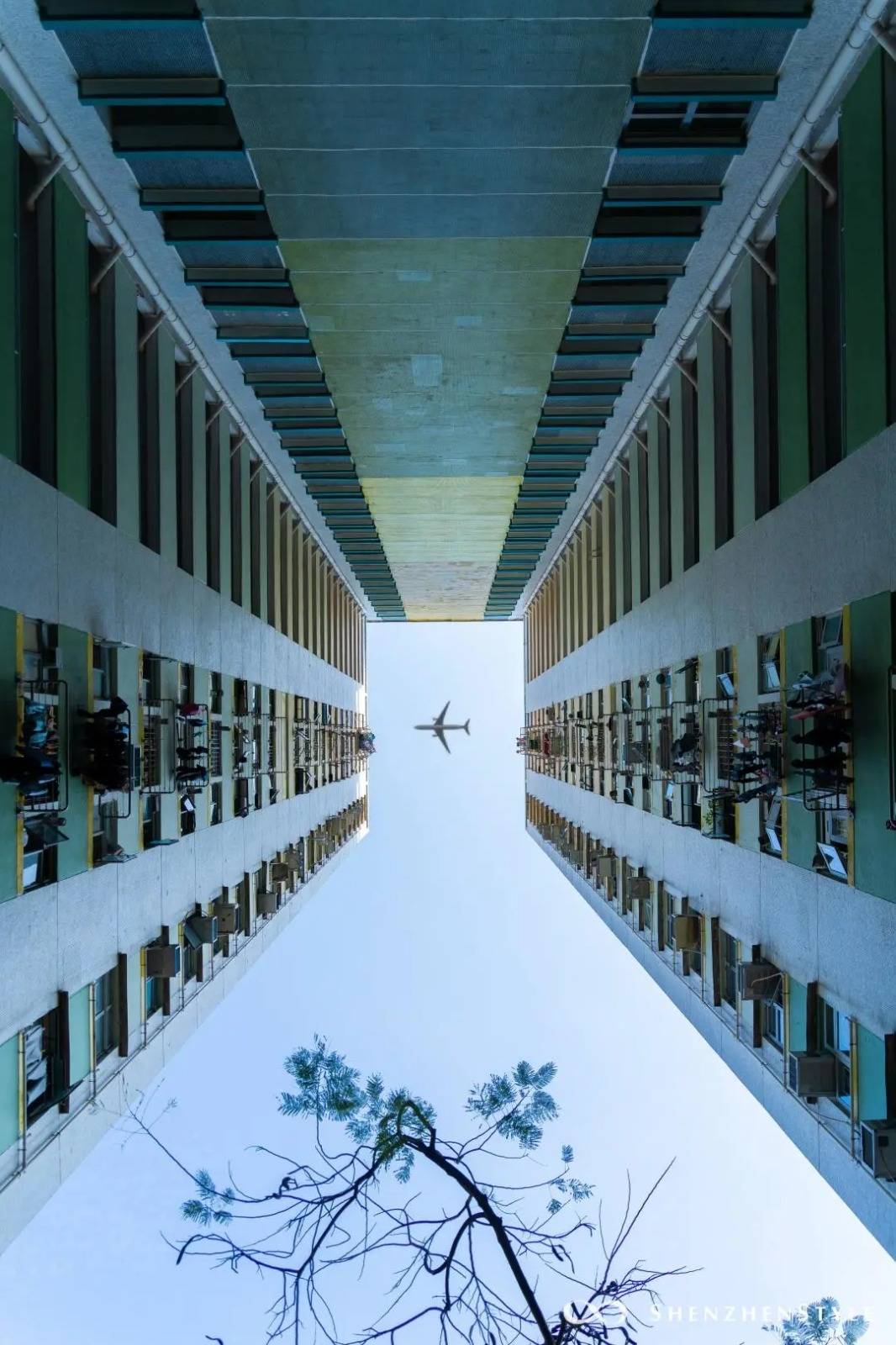 Explore Tai Wai 2026: Community Guided Tour