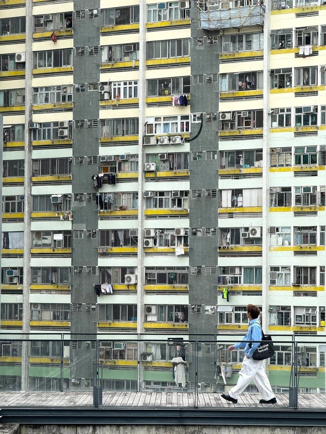 Explore Tai Wai 2026: Community Guided Tour