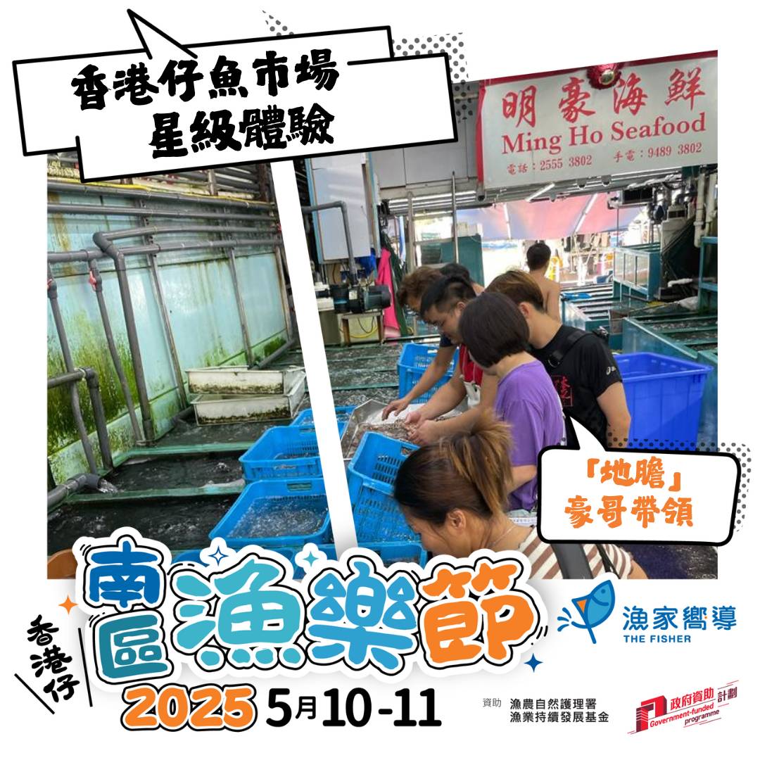 【南區漁樂節2025】香港仔魚市場﹒星級體驗 (收費活動)
