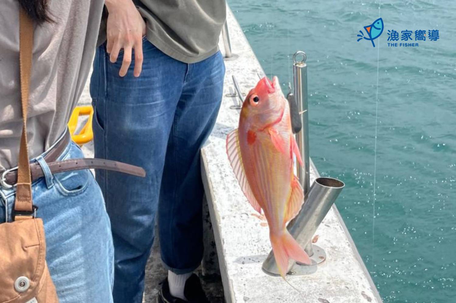 新手出發「呔魚」團